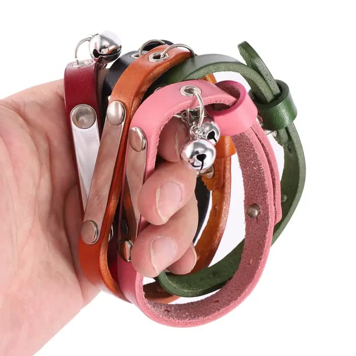 Collier de chat personnalisé réglable en cuir colliers de chats de compagnie