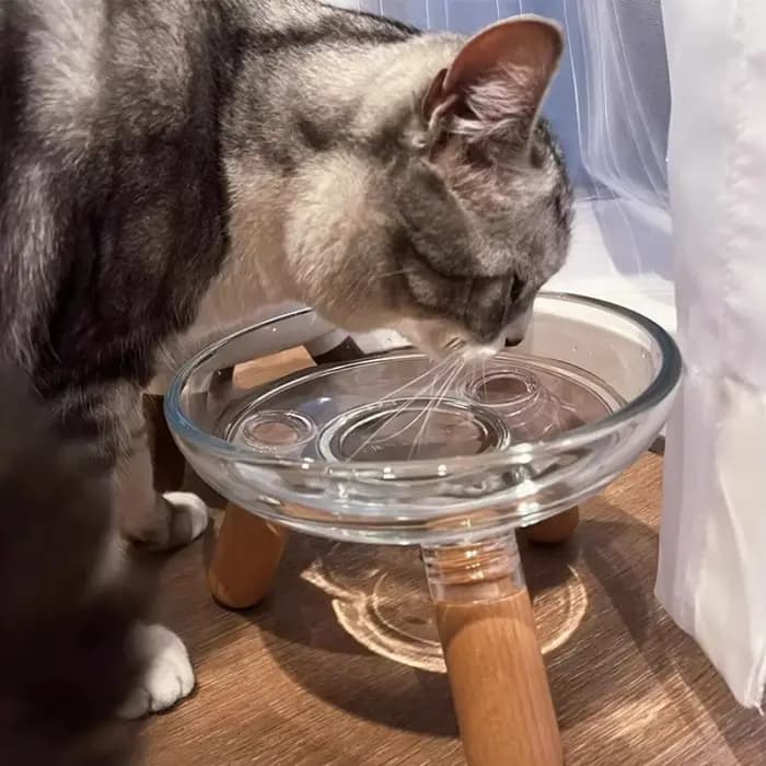Mangeoire pour chat de 500ml