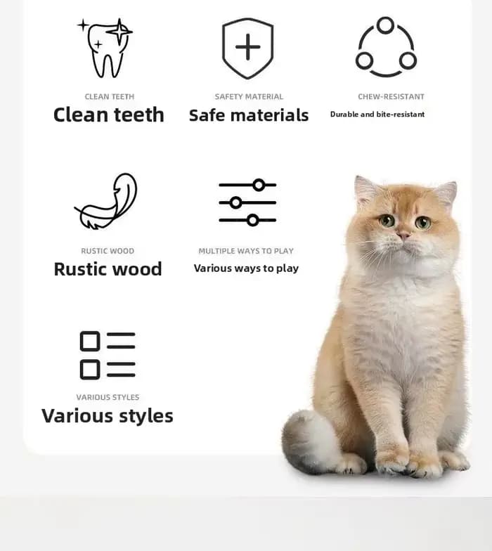 Jouet interactif en bois ZHAYA Silvervine pour chat