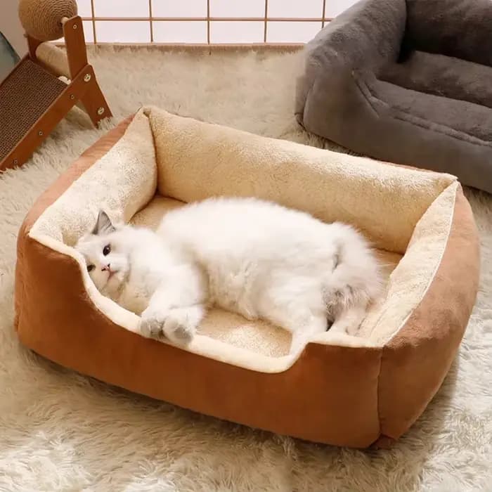 Lit pour chats produits pour animaux de compagnie coussins chaton marchandises accessoires chien tous les fournitures