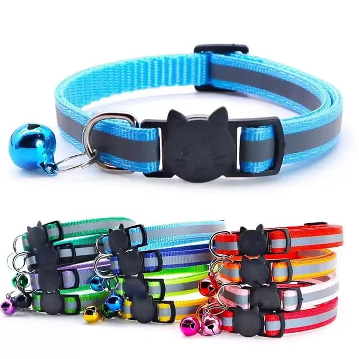 Collier réfléchissant coloré pour chat