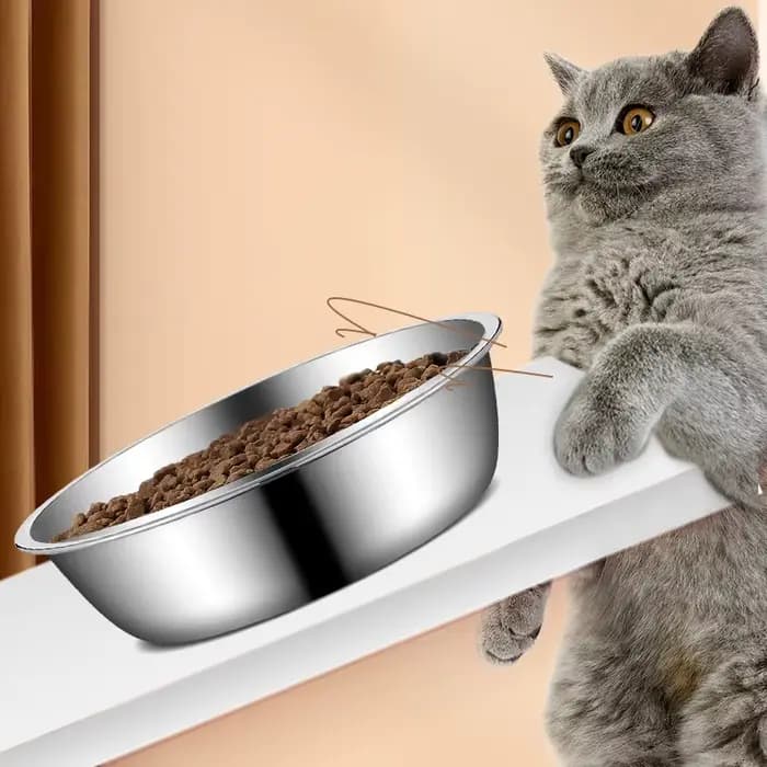 Bol pour animaux de compagnie en acier inoxydable pour chiens et chats