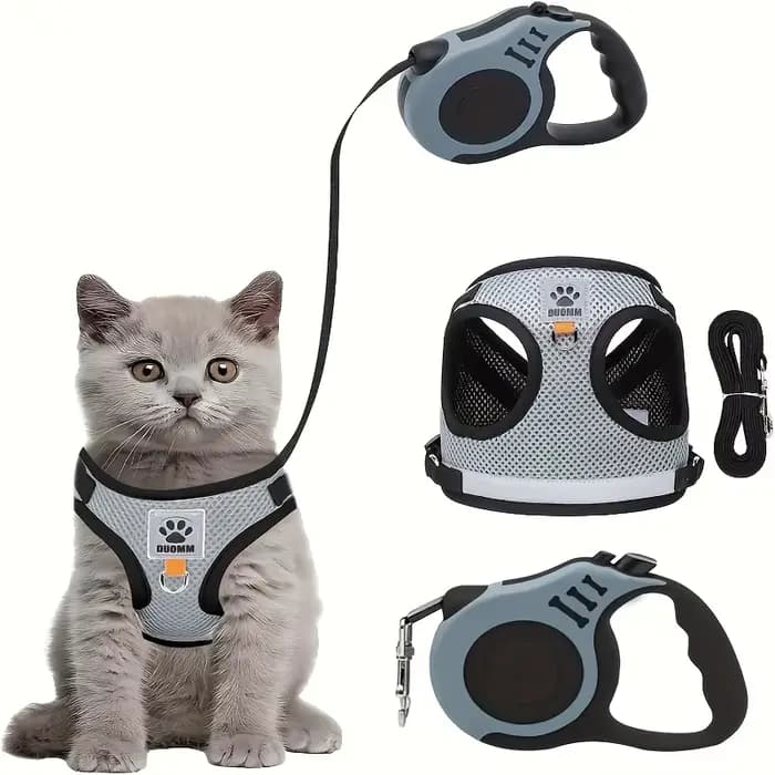 Ensemble de laisse pour chat et chien