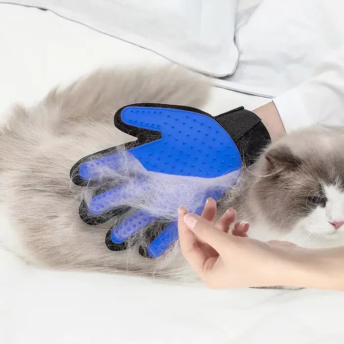 Gant de toilettage pour chat
