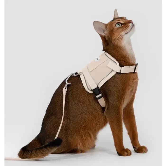 Harnais anti-évasion pour chat 39g