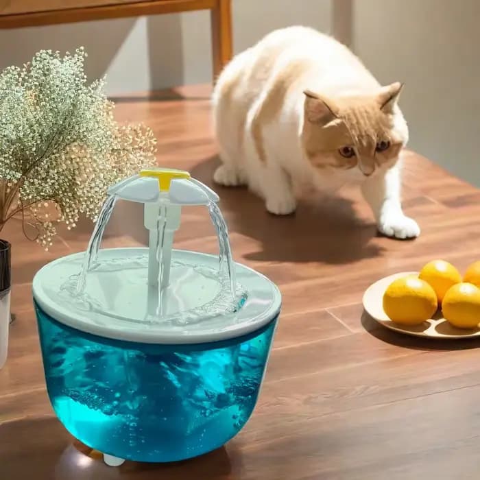 Fontaine à eau pour chat