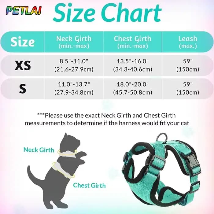 Collier pour chien et chat