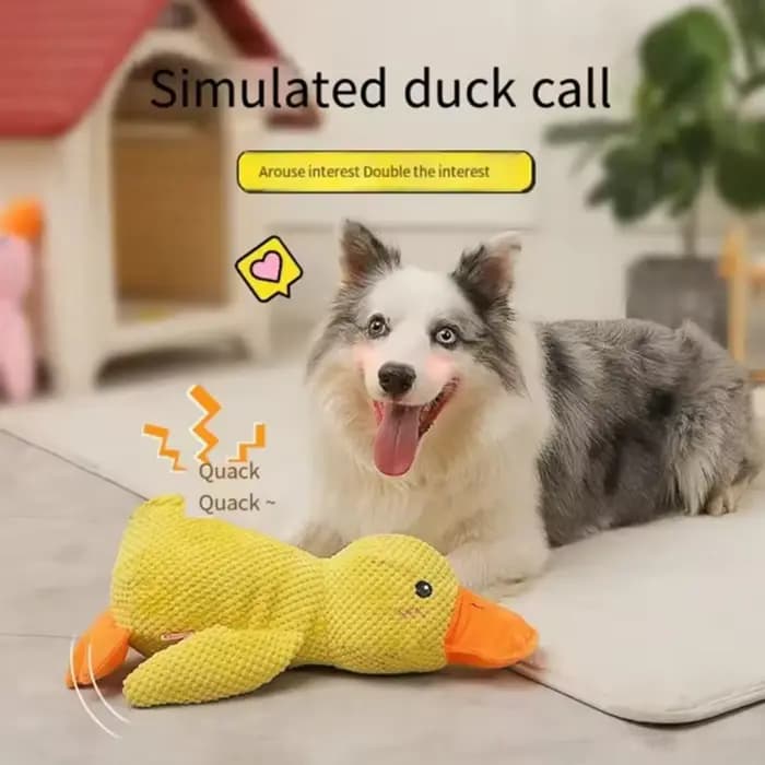 Jouet en peluche pour animaux de compagnie