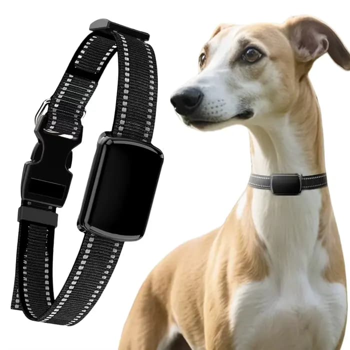 Localisateur de chat avec collier réglable
