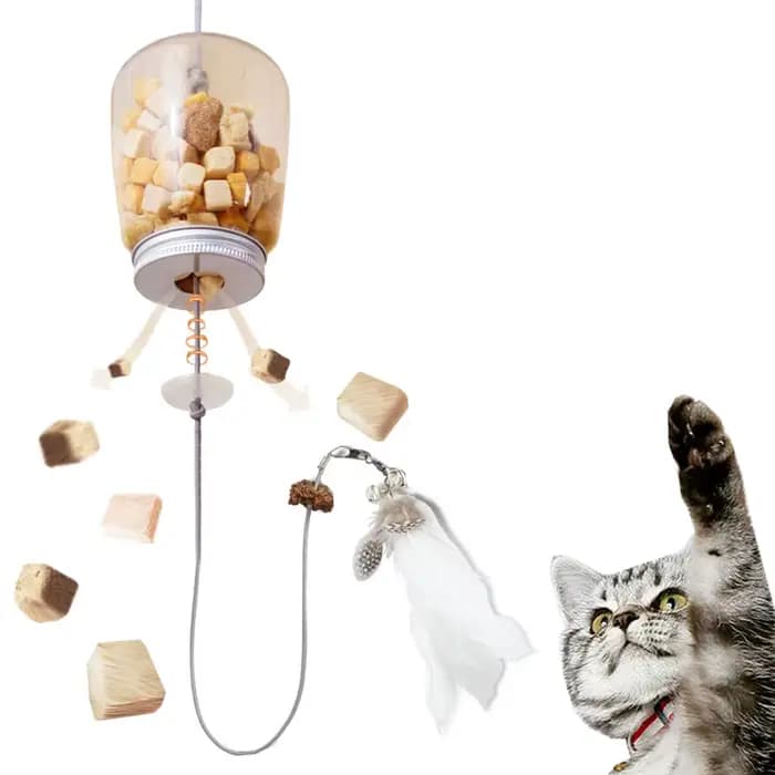 Jouet interactif pour chat
