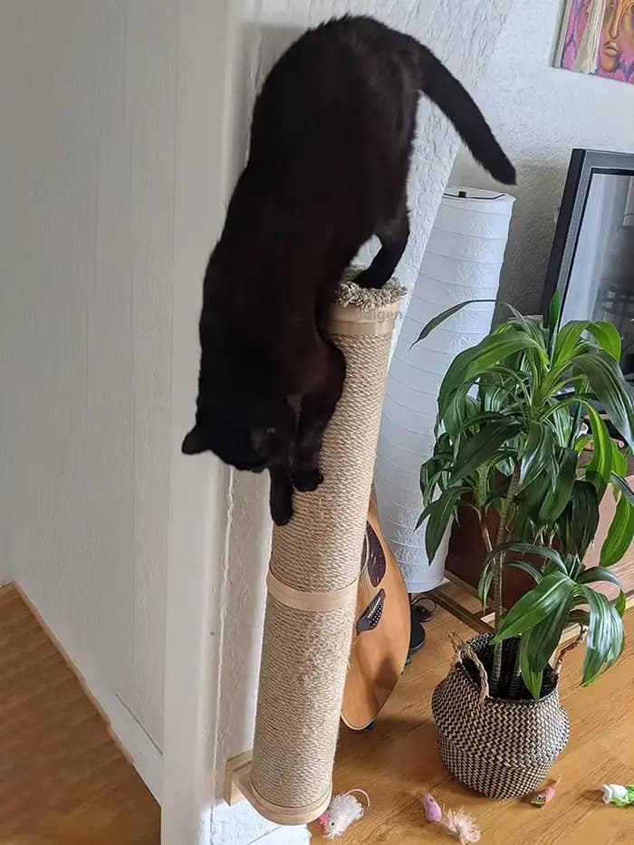 Poteau à gratter pour chat