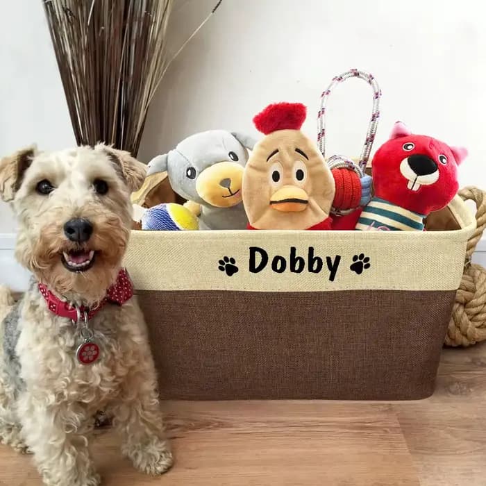 Panier de rangement personnalisé pour jouets de chien