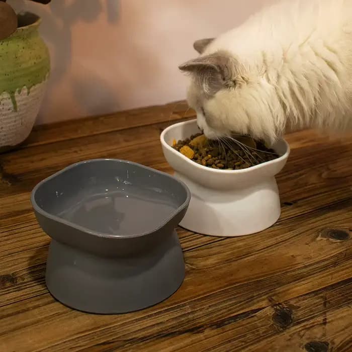 Bols en céramique à pied haut pour animaux de compagnie