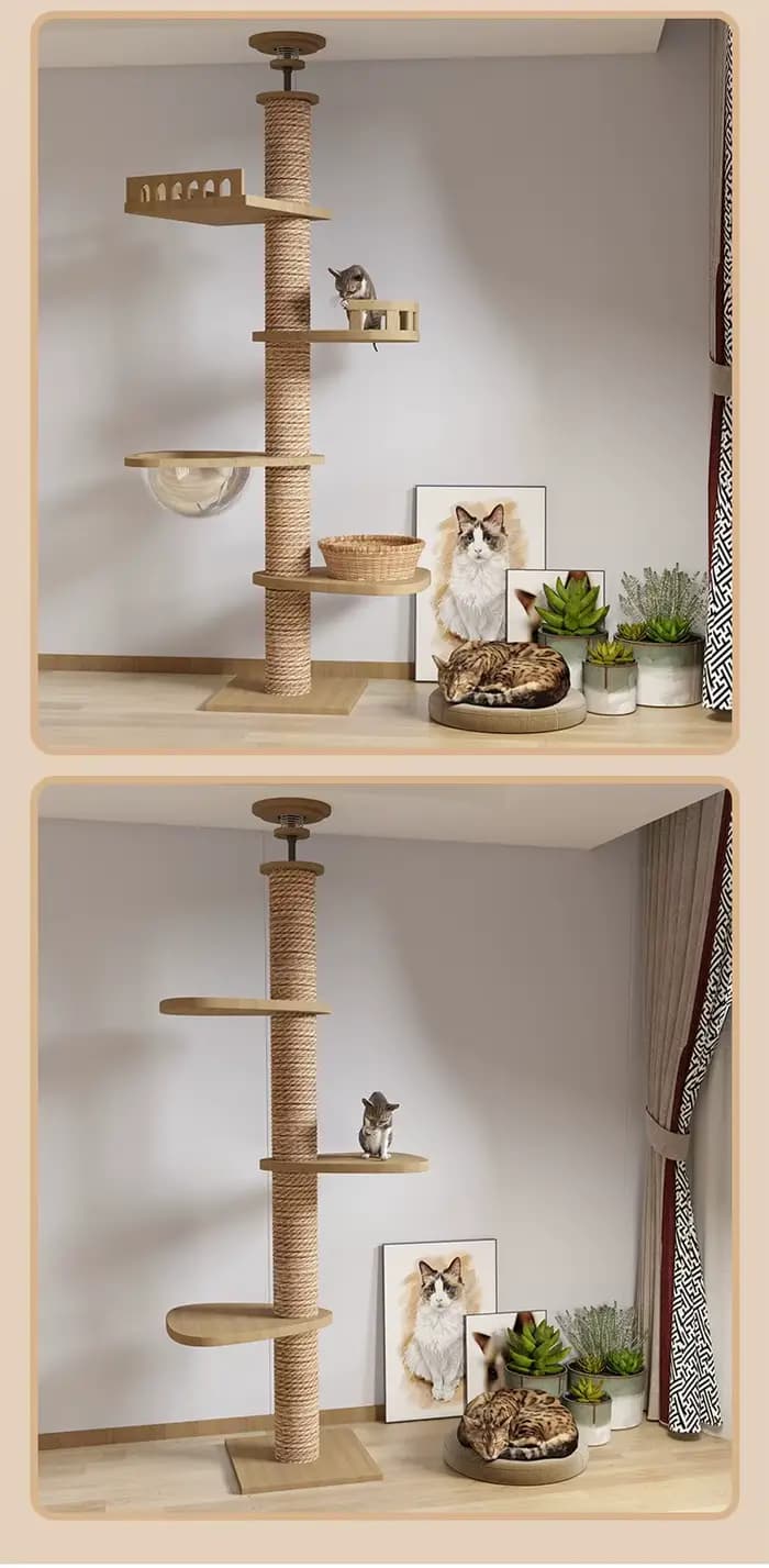 Arbre à chat du sol au plafond avec griffoir