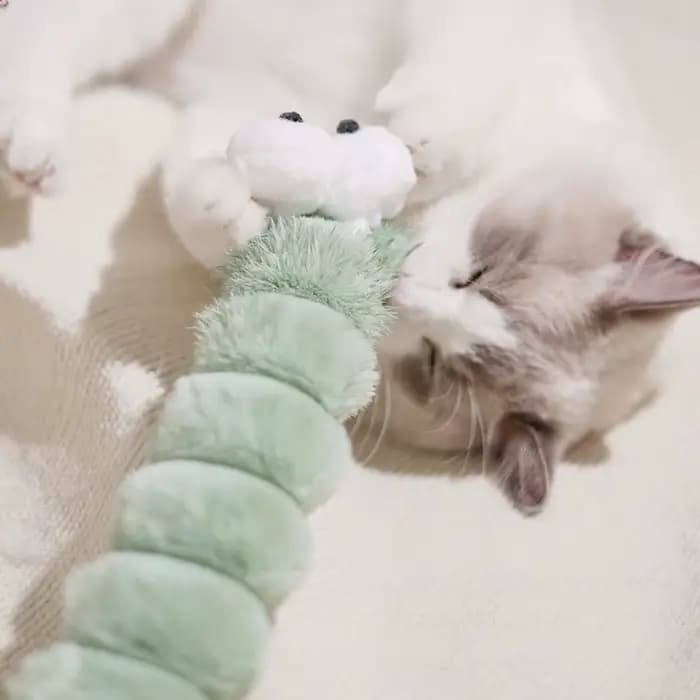 Peluche chat à mâcher jouet herbe-aux-chats auto-hi morsure jouets bande oreiller Teaser jouets pour chats doux interactif chat jouet chaton jouets