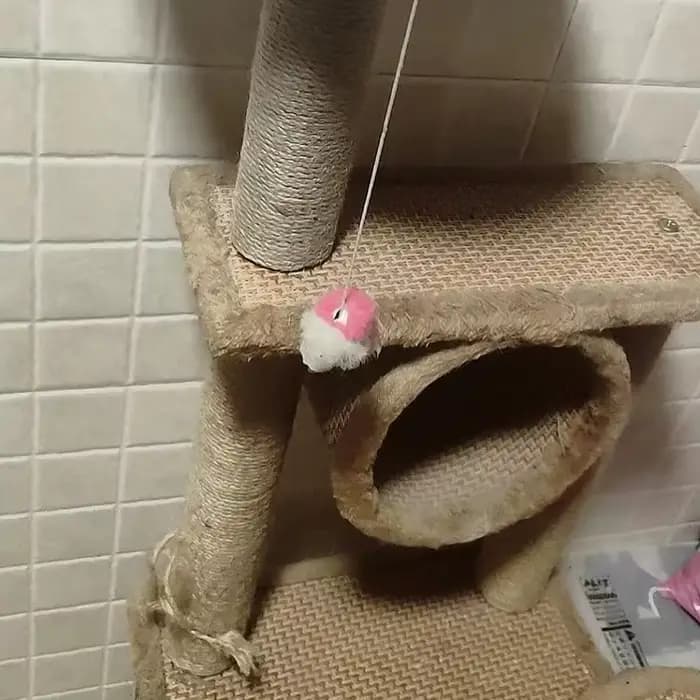 Poteau à gratter pour chat en forme d'arbre