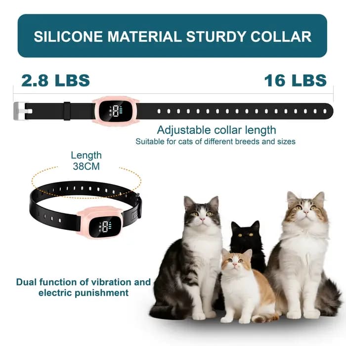 Collier d'entraînement automatique pour chat adapté aux chats et aux chatons