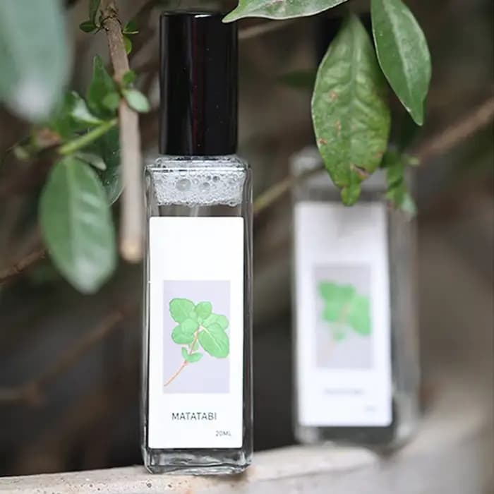 Vaporisateur de joie de chat à base de plantes pour animaux de compagnie