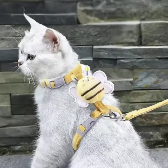 Harnais pour chat, harnais et ensemble pour animaux de compagnie