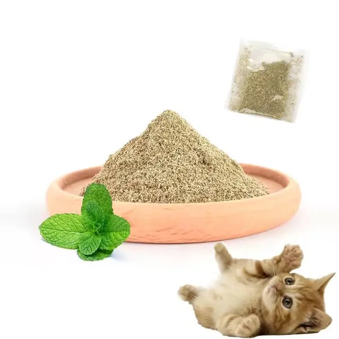 Chat herbe à chat herbe de bétail Non toxique menthe drôle chat friandises jouets chats accessoires aide à la Digestion et à éliminer les boules de cheveux