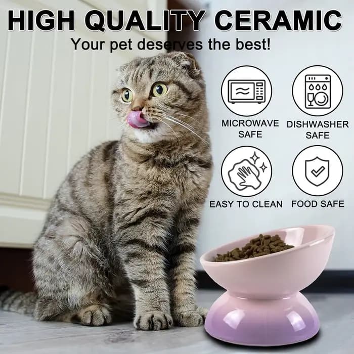 Bols surélevés en céramique pour chat