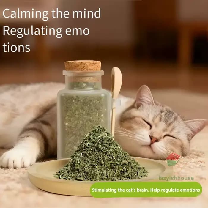 Mélange de Catnip Bio Premium Sûr