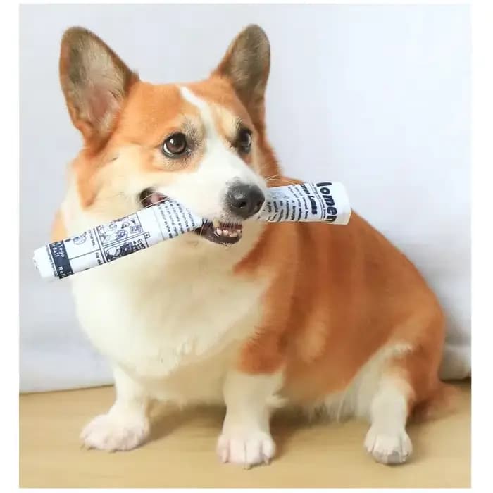 Jouets pour chiens en papier résistant aux morsures