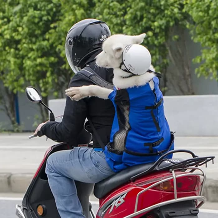 Sac à dos de transport pour animaux de compagnie