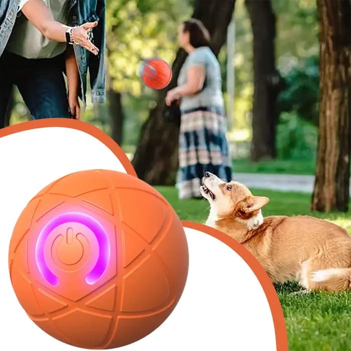 Balle roulante automatique pour chien