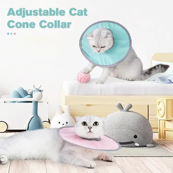 Collier de récupération pour animaux de compagnie