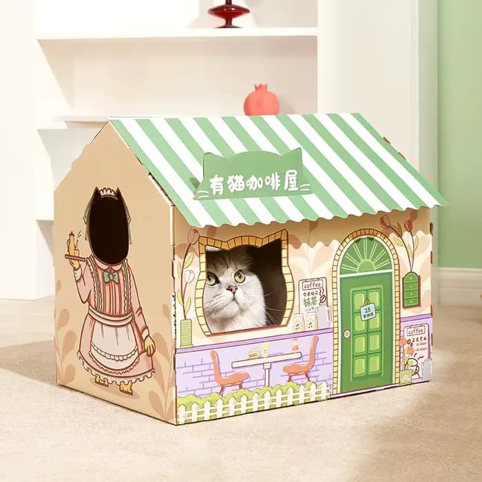 Litière pour chat, planche à gratter pour chat