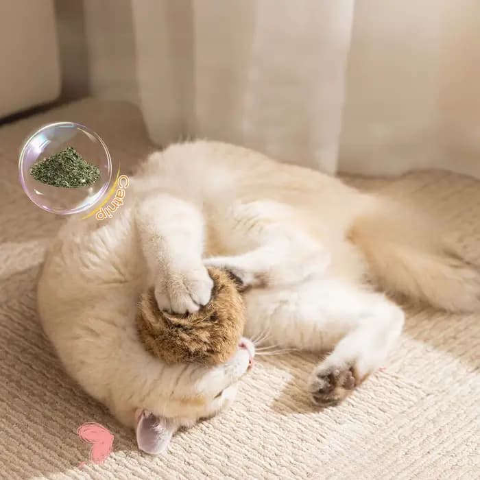 Jouet pour chat : Boule de fourrure de lapin véritable