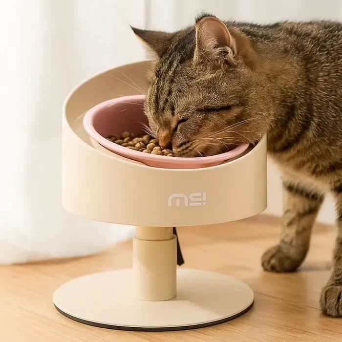 Bol de nourriture pour chat bol en céramique réglable