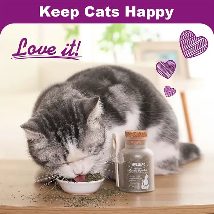 Mélange Premium sans danger pour l'herbe à chat biologique