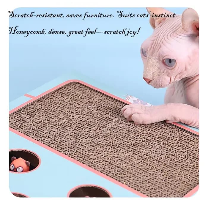 Boîte de jeu 3 en 1 pour chat : Jouet interactif Whack-a-Mole