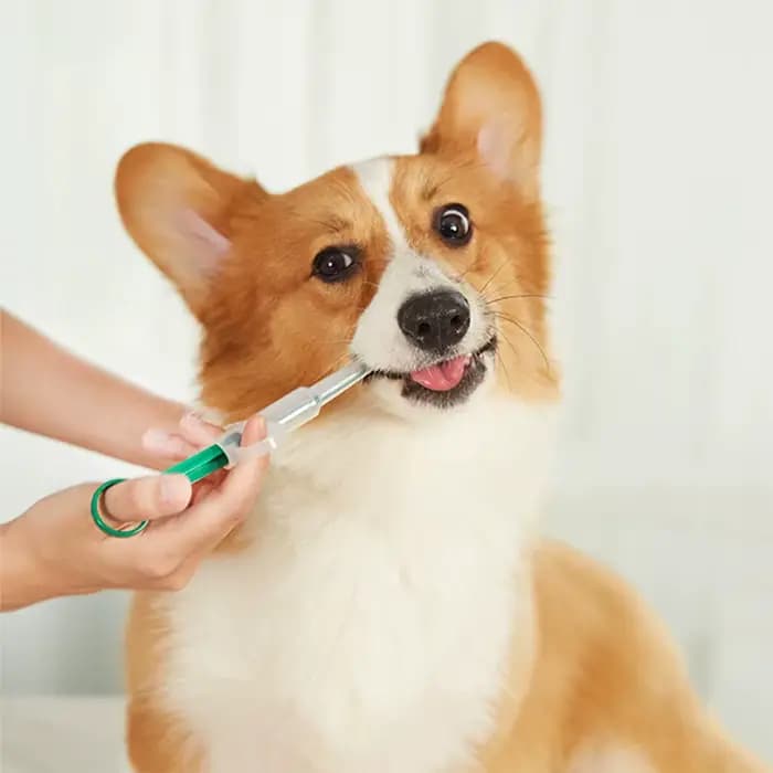 Distributeur de médicaments pour animaux de compagnie
