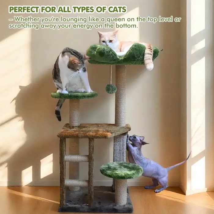Arbre à chat moyen : Tour à chat multi-niveaux verte avec escalier