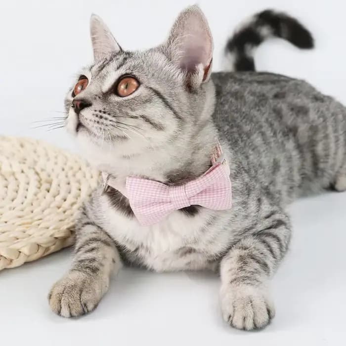 Collier pour chat mignon avec nœud papillon