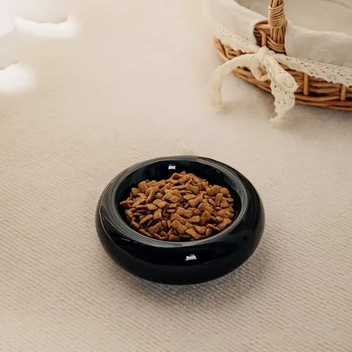 Bol pour chat bol en céramique