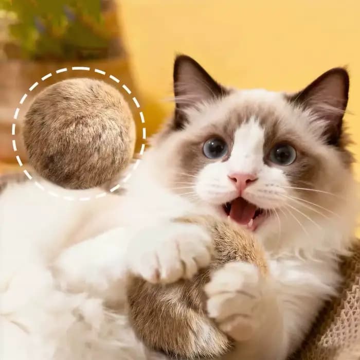 Jouet pour chat : Boule de fourrure de lapin véritable