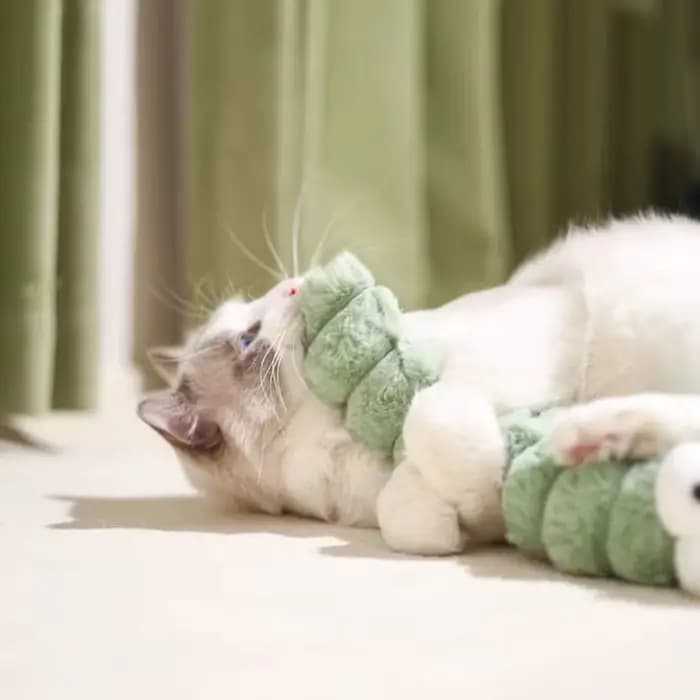 Jouet à mâcher en peluche pour chat, coussin chenille, herbe-aux-chats, jouets Teaser pour chats, fournitures de jouets interactifs doux