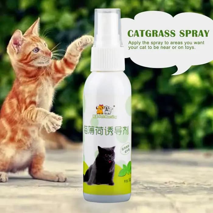 Spray d'herbe à chat pour chat, naturel, sain, sûr, effet à long terme, chatons, attractif, entraînement pour animaux de compagnie, fournitures pour animaux de compagnie, 50ml