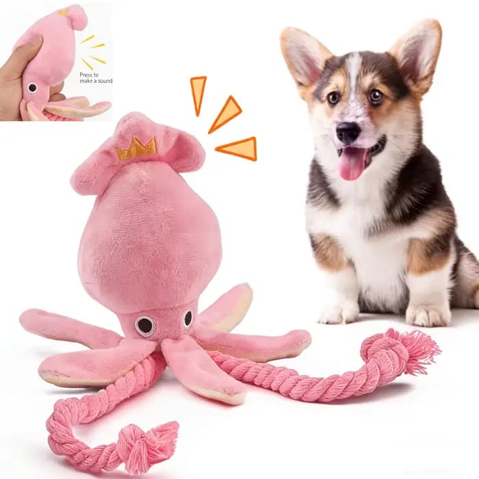 Jouets pour chiens