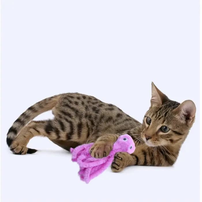 Jouets pour chats en peluche en forme de pieuvre mignonne