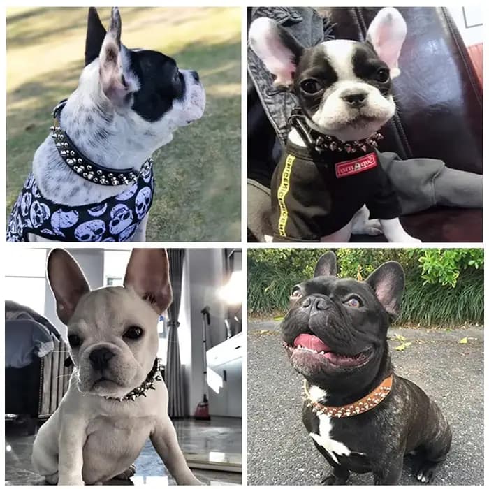 Collier de chien en cuir réglable, sangle de cou, fournitures en cuir PU, Punk, rivets à pointes, colliers pour animaux de compagnie pour petit chien et chat