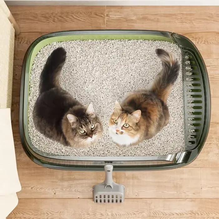 Bac à litière semi-fermé anti-éclaboussures pour chat, bac à sable pour chat, plateau pour chat, toilette pour animaux de compagnie, bassin de nettoyage, pot de litière pour chaton, fournitures pour t