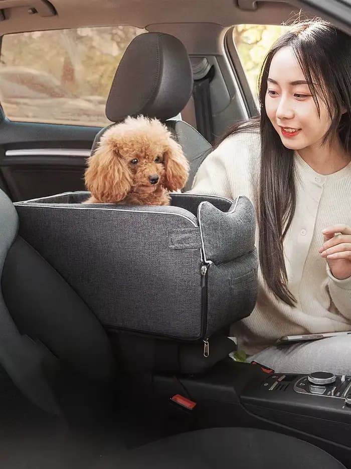 Siège de voiture Portable pour chien et chat