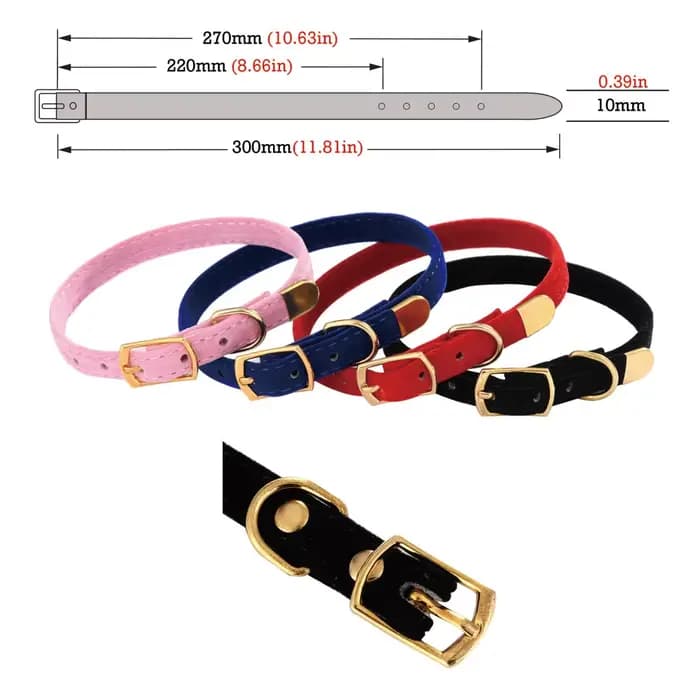 Collier de flocage pour animal de compagnie