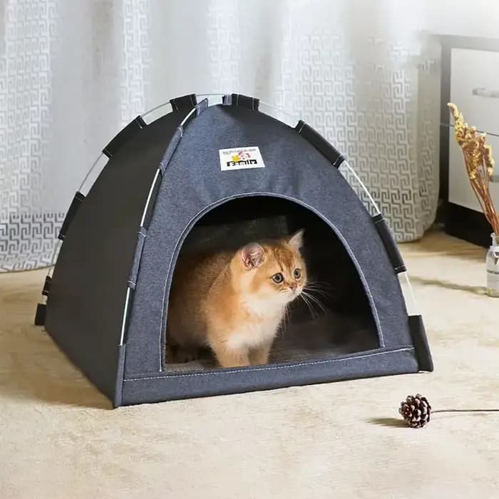 Maison de sommeil pour animaux de compagnie
