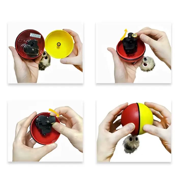 Jouets de balle interactifs pour chat